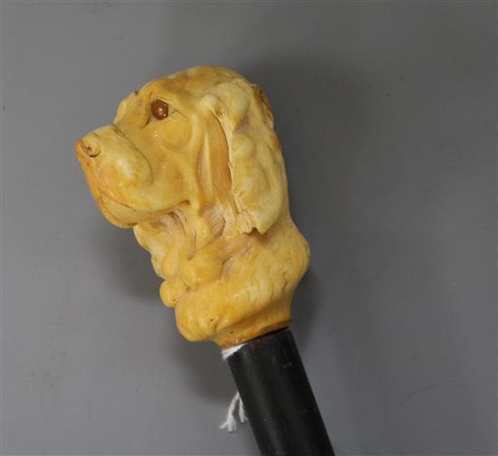 An ivory dogs head handle cane